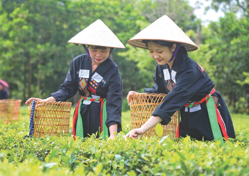 ចំពោះភ្ញៀវទេសចរជាច្រើន ភូមិ វ៉ែន ទាក់ទាញដោយសារនៅទីនេះមានខ្យល់អាកាសដ៏បរិសុទ្ធ កូនភ្នំតែនិងធ្វើដំណើរទៅមកងាយស្រួលគួរសម