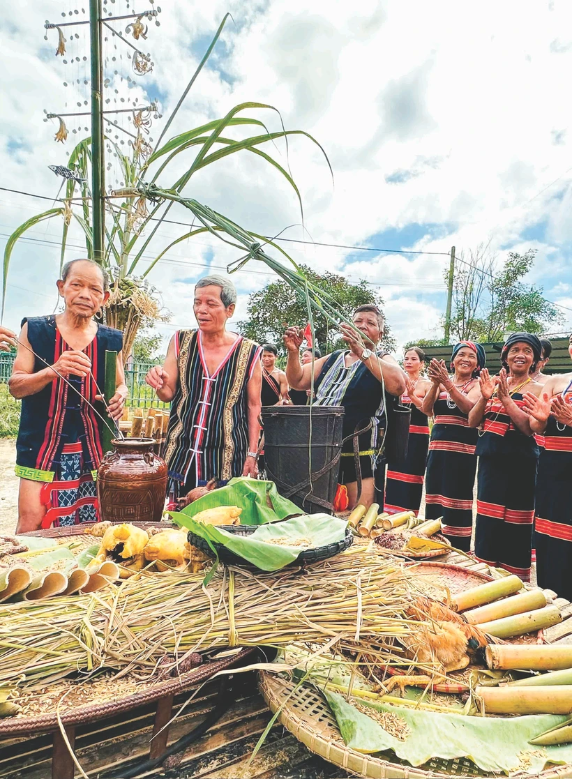 ជនជាតិ តារៀង សប្បាយរីករាយបុណ្យស្រូវថ្មីនៅឃុំ ដាក់តូយ ស្រុក ណាមយ៉ាង ខេត្ត ក្វាងណាម