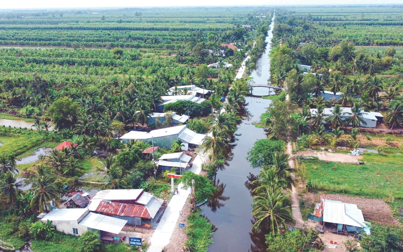 ផ្តើមពីតំបន់ដីរហោឋាន អតីតមូលដ្ឋានបដិវត្តន៍រហូតមកទល់បច្ចុប្បន្ននេះ ឃុំ អានមិញបាក់ ស្រុក អ៊ូមិញធឿង (ខេត្ត កៀនយ៉ាង) ត្រូវបានគ្របដណ្តប់ដោយផ្ទៃដីដាំដំណាំហូបផ្លែពណ៌បៃតង ប្រព័ន្ធហេដ្ឋារចនាសម្ព័ន្ធតភ្ជាប់គ្រប់ច្រកល្ហក ផ្ទះសំបែងធំទូលាយ