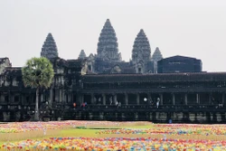 បេះដូងក្រដាសដែលបត់ដោយដៃដោយប្រជាជន ខ្មែរ គ្រប់ស្រទាប់វណ្ណ: គ្រប់វ័យ ត្រូវបានរៀបចំជាលក្ខណ:សួនដ៏ស្រស់ស្អាត នៅបរិវេណប្រាសាទអង្គរវត្ត