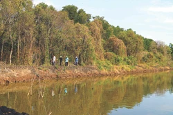 ប្រជាជនរួមជាមួយនឹងកម្មាភិបាលការិយាល័យកសិកម្មនិងអភិវឌ្ឍន៍ជនបទស្រុក ហនដឹត គណៈកម្មាធិការប្រជាជនឃុំ លិញហ្វ៊ិញ ចុះពិនិត្យព្រៃការពារ