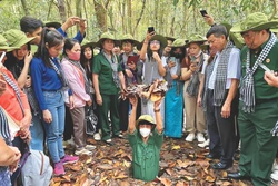 ផ្លូវរូងក្រោមដី គូជី កន្លែងកត់ត្រាស្លាកស្នាមយុទ្ធជ័យដ៏ត្រចះត្រចង់របស់កងទ័ពនិងប្រជាជន គូជី ឥឡូវនេះជាទីកន្លែងទេសចរប្រវត្តិសាស្ត្រដ៏ល្បីឈ្មោះមួយនៅទីក្រុង ហូ ជីមិញ