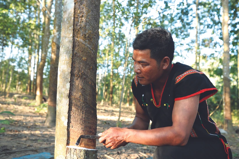 សិល្បករជនជាតិ បាណា ម្នាក់ធ្វើសេដ្ឋកិច្ចពូកែ