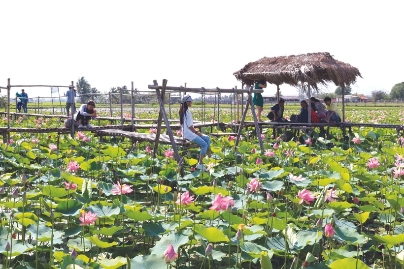 គំរូទេសចរណ៍អេកូឡូស៊ីភូមិឈូករបស់ជនជាតិ ចាម នៅទីរួមស្រុក ភឿកយ៉ឹន ស្រុក និញភឿក (ខេត្ត និញធន់)