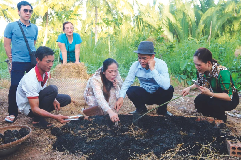 ភ្ញៀវទេសចរដុតពងមាន់ពូតដីឥដ្ឋដោយផ្ទាល់ដៃ